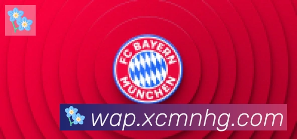 开云app合作伙伴